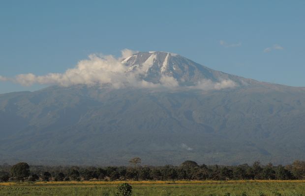Umbwe route Kilimanjaro beklimming Tanzania Afrika